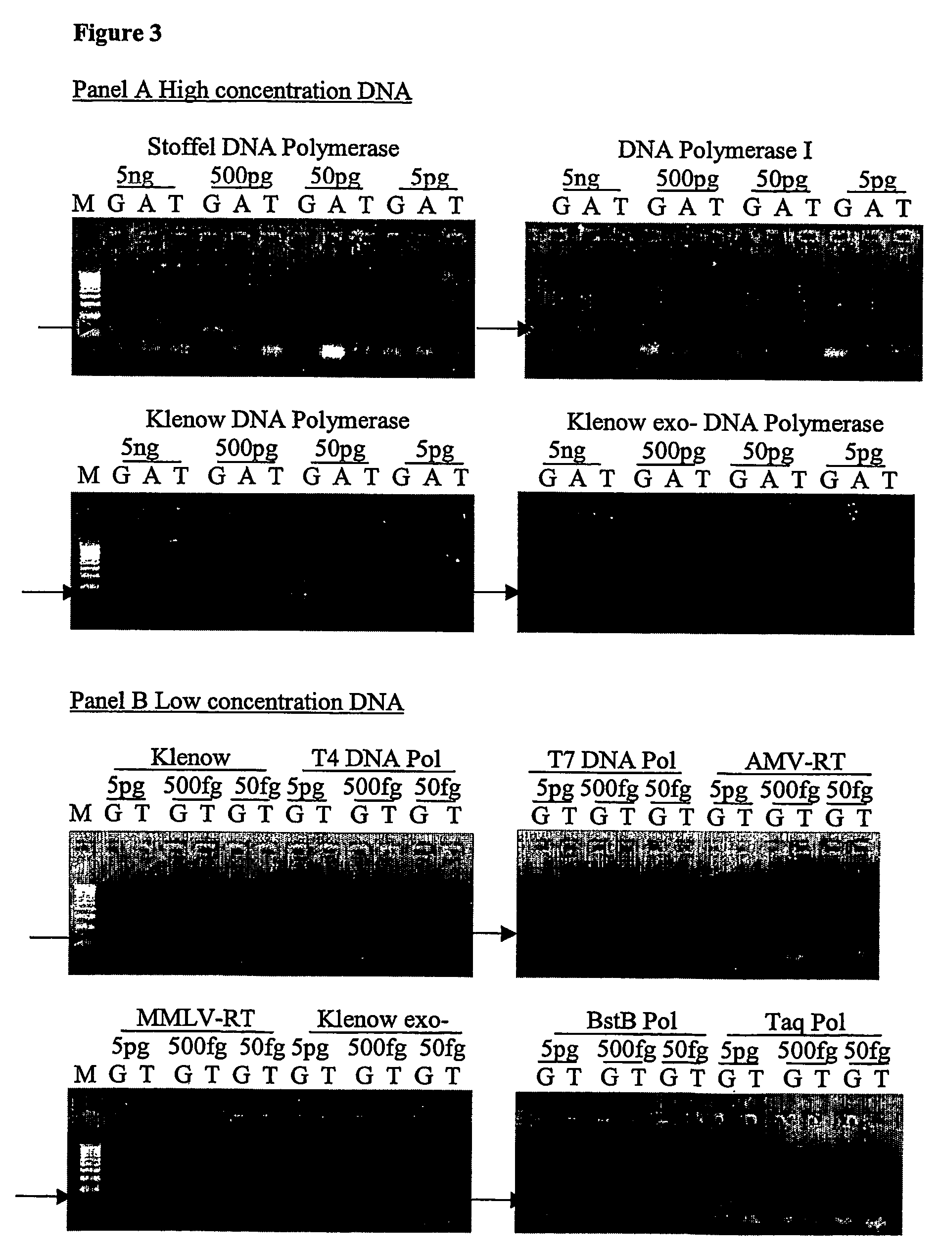 Nucleic acid detection assay