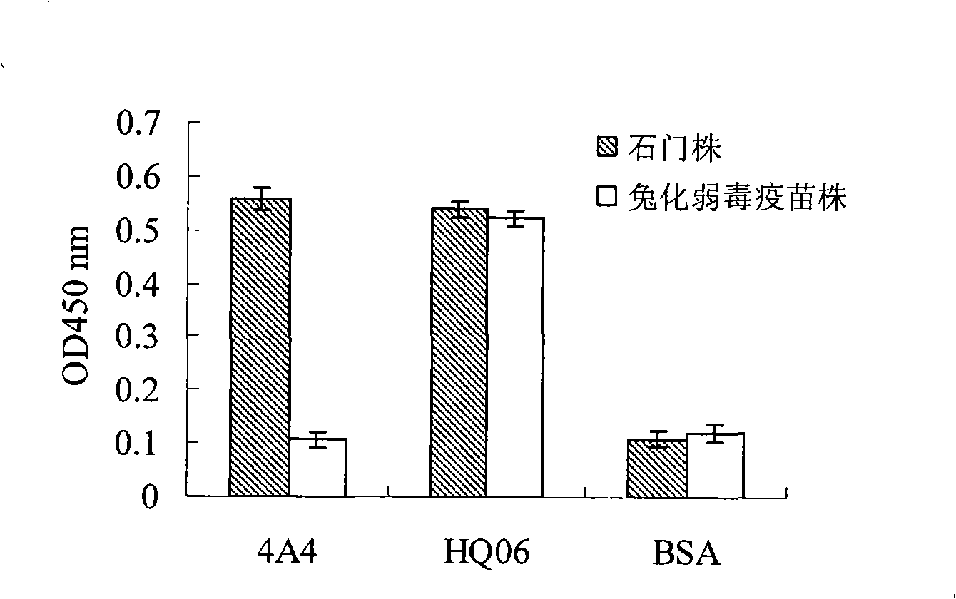 Monoclone antibody of swine fever virus resistant wild strain E2 protein, preparation method and application thereof