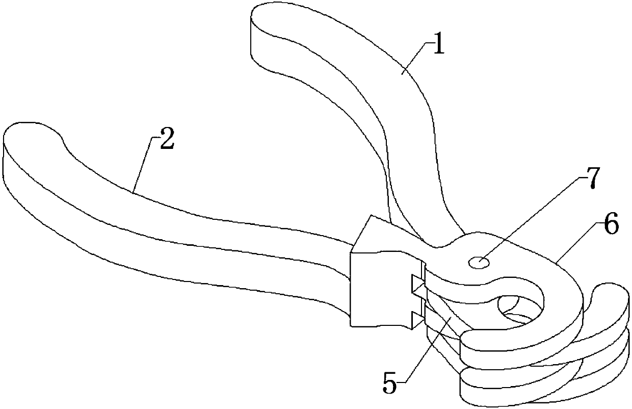 Method for manufacturing plant specimens