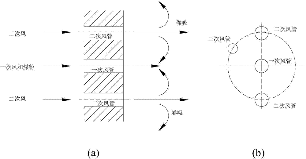 Method and system thereof for oxygen-enriched flameless combustion of coal powder