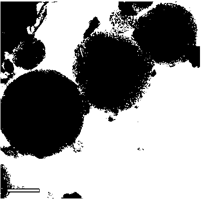 Method for preparing doping porous silicon ball