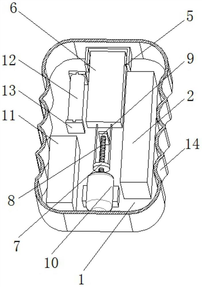 Remote test and development software protection device