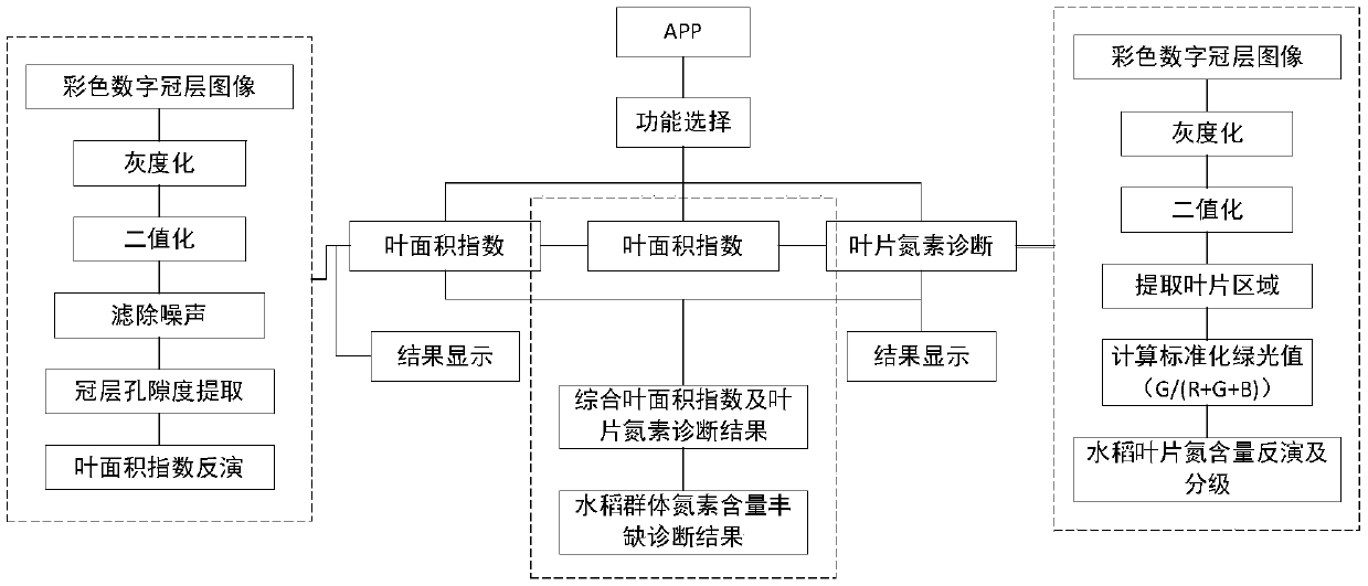 Mobile rice leaf nitrogen content detecting and grading method based on machine vision, system and computer readable storage medium