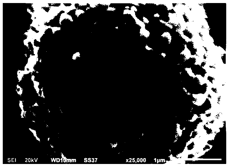 A preparation method of magnetoelectric nanocomposite material based on bio-assisted self-assembly