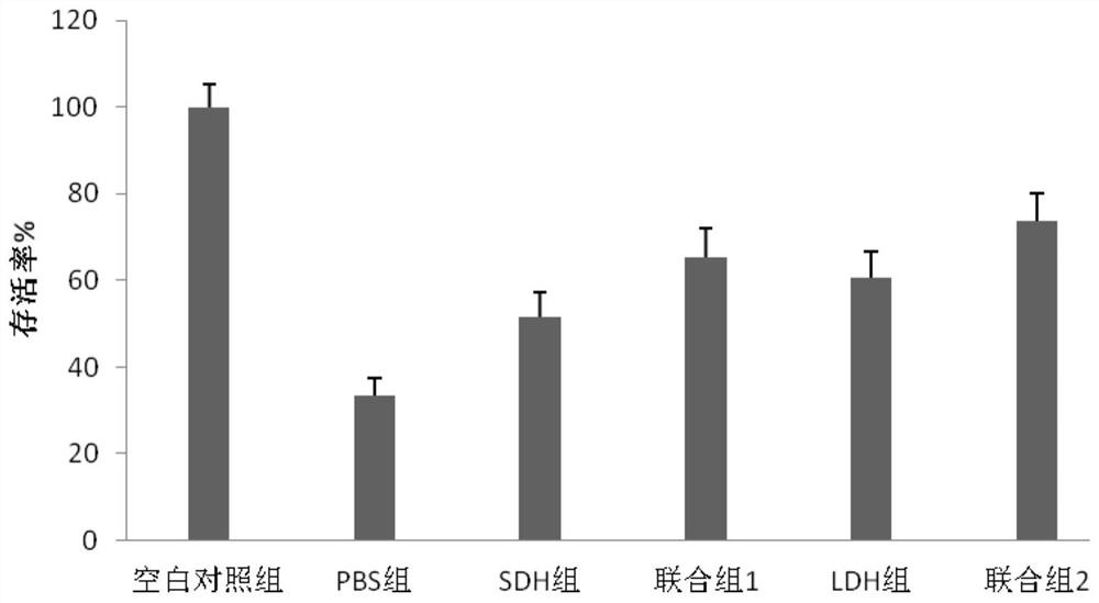 Application of active peptide and mesenchymal stem cell exosome for improving skin physiological characteristics in drugs or cosmetics