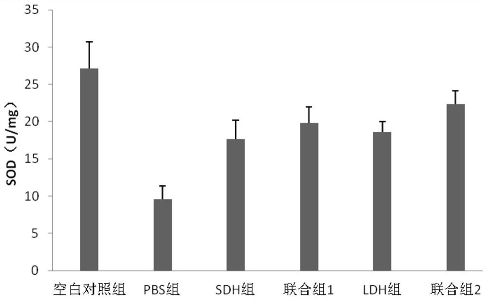 Application of active peptide and mesenchymal stem cell exosome for improving skin physiological characteristics in drugs or cosmetics