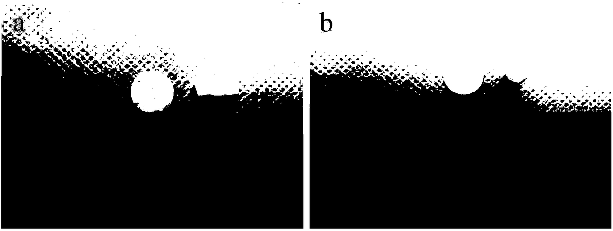 Compound bone cement, preparation method and application of compound bone cement, and bone repair material