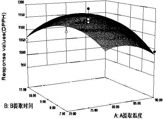 Wax myrtle leaf total-flavonoid extracting process and extracting condition optimization method thereof