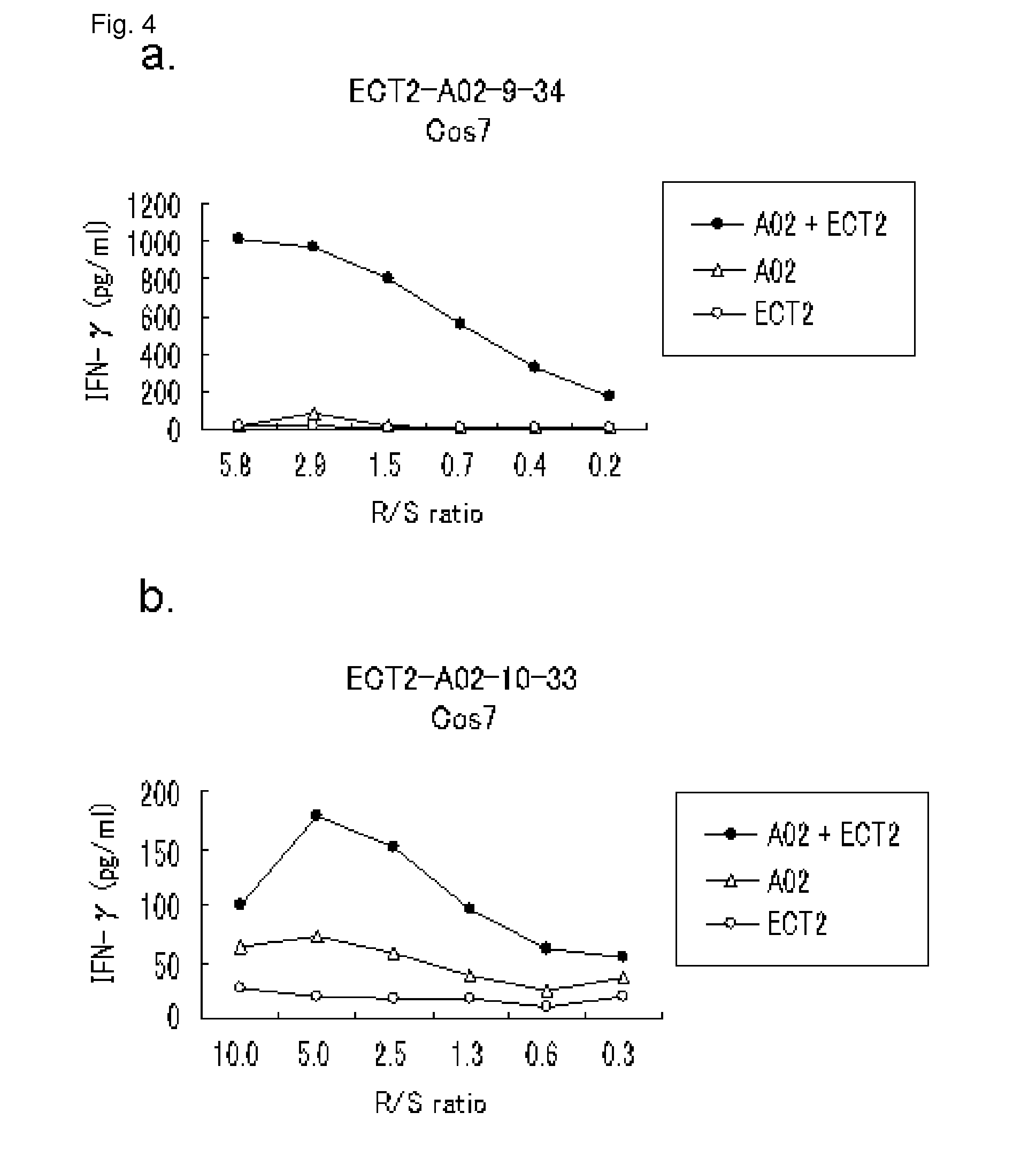 ECT2 peptides and vaccines including the same