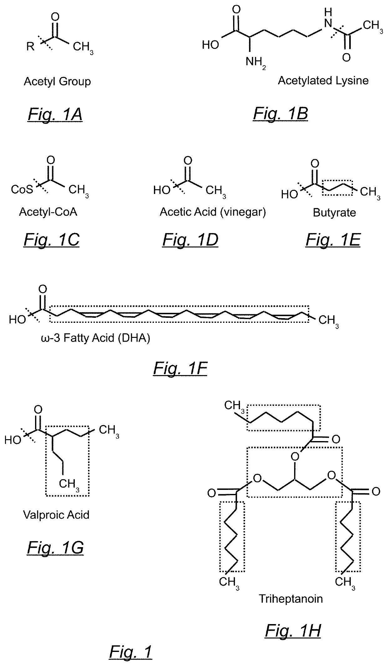 Method of dietary treatment for genetic and epigenetic diseases and disorders