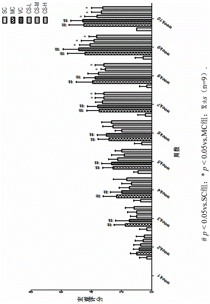 Preparation method and application of orthosiphon aristatus extract