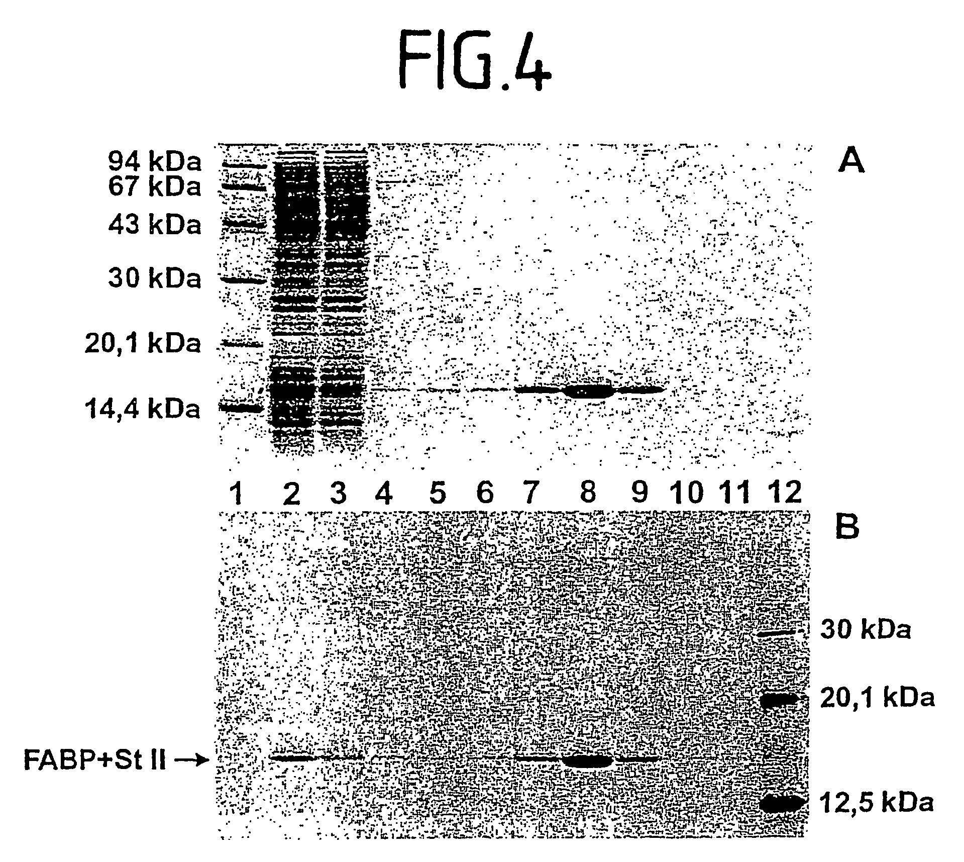 Method for gene expression