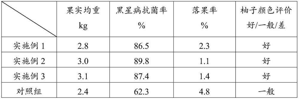 Comprehensive prevention and treatment method for honey pomelo scabs