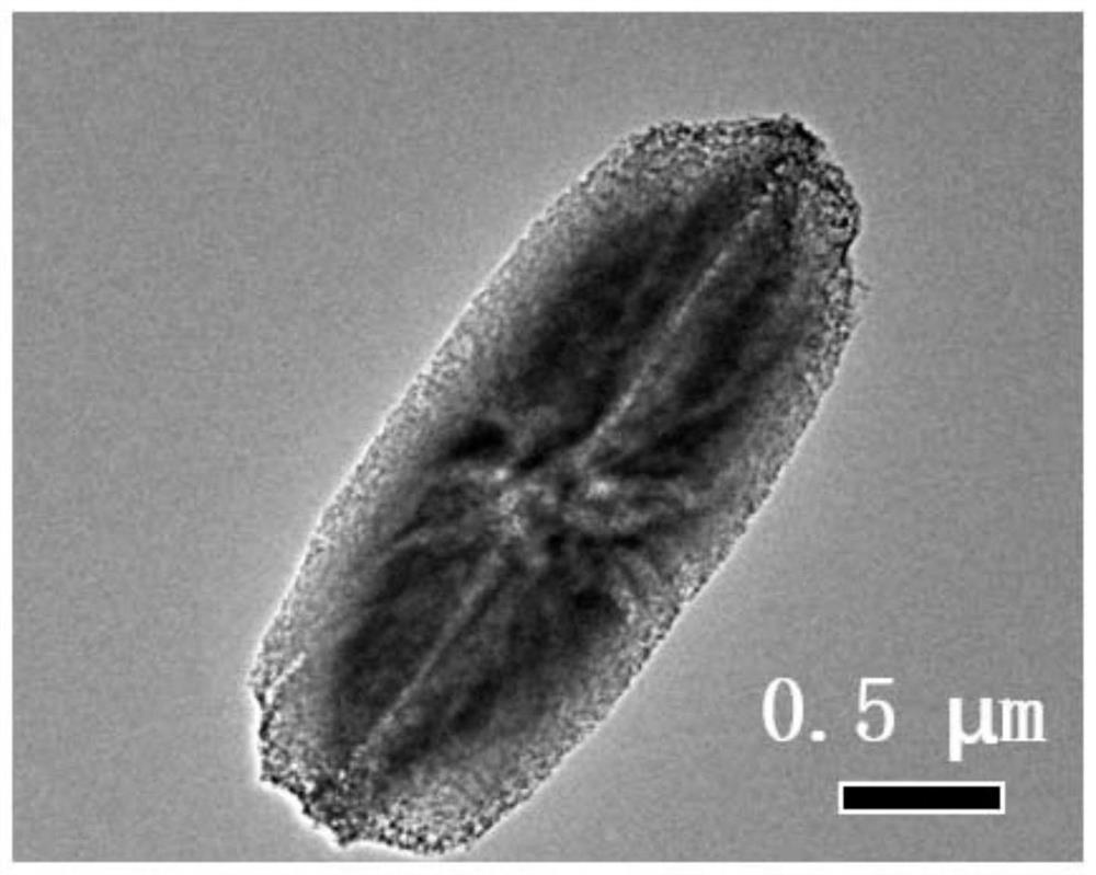 Novel center-radial nickel-carbon catalytic material as well as preparation method and application thereof