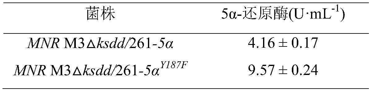 5 alpha-reductase mutant, genetic engineering bacterium and application of genetic engineering bacterium to realizing high-efficiency catalysis of 5 alpha-AD production