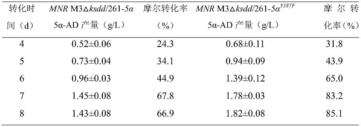 5 alpha-reductase mutant, genetic engineering bacterium and application of genetic engineering bacterium to realizing high-efficiency catalysis of 5 alpha-AD production