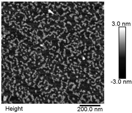 Construction method and application of aptamer-DNA macromolecular polymer based on non-linear hybridization chain amplification