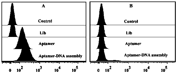 Construction method and application of aptamer-DNA macromolecular polymer based on non-linear hybridization chain amplification