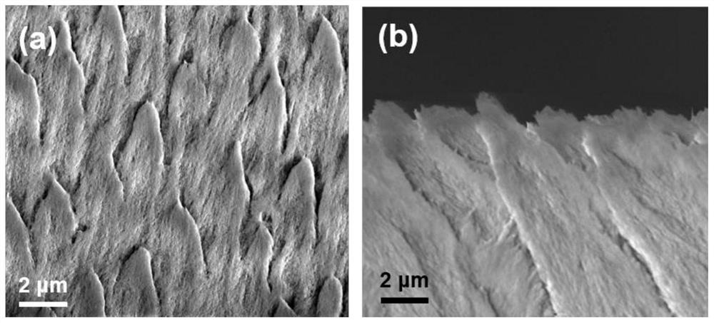 A method for repairing damaged tooth enamel by coating dense layers of metal oxides