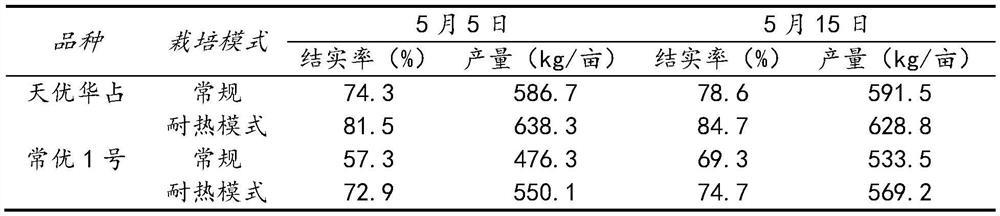 Key cultivation method for improving heat resistance of Oryza sativa L., and application of key cultivation method in improvement of heat resistance of Oryza sativa L.