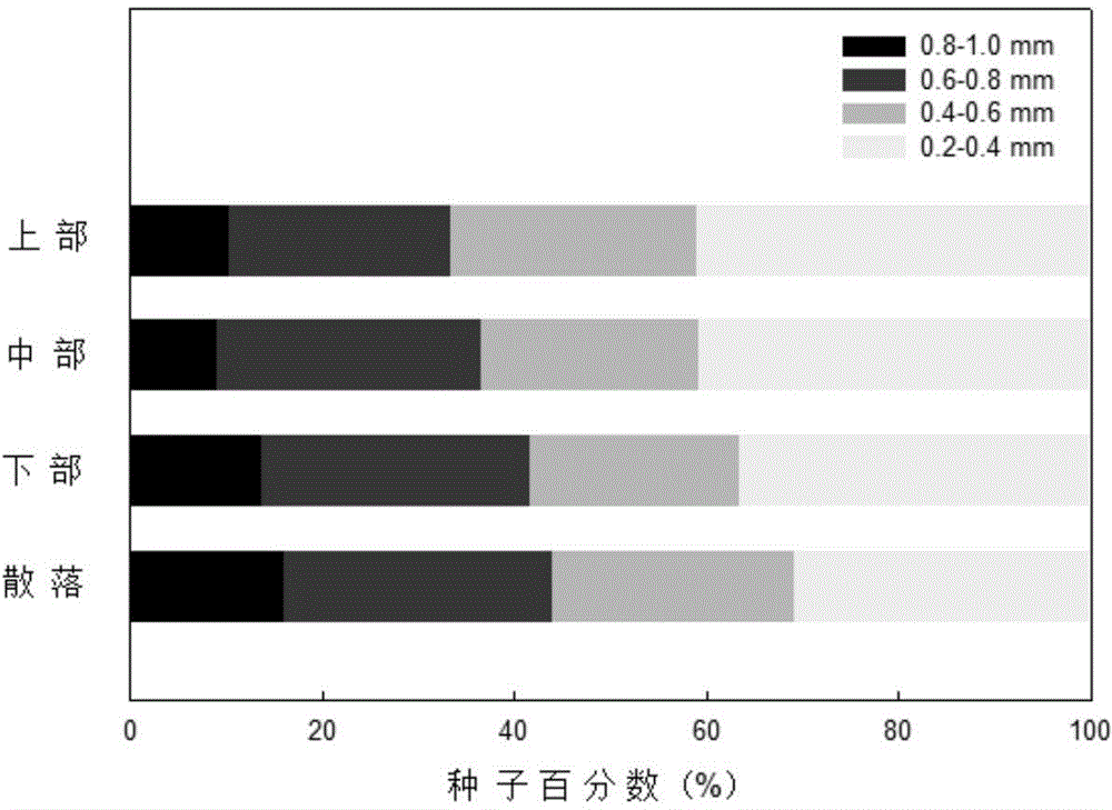 A method for screening cistanche seeds