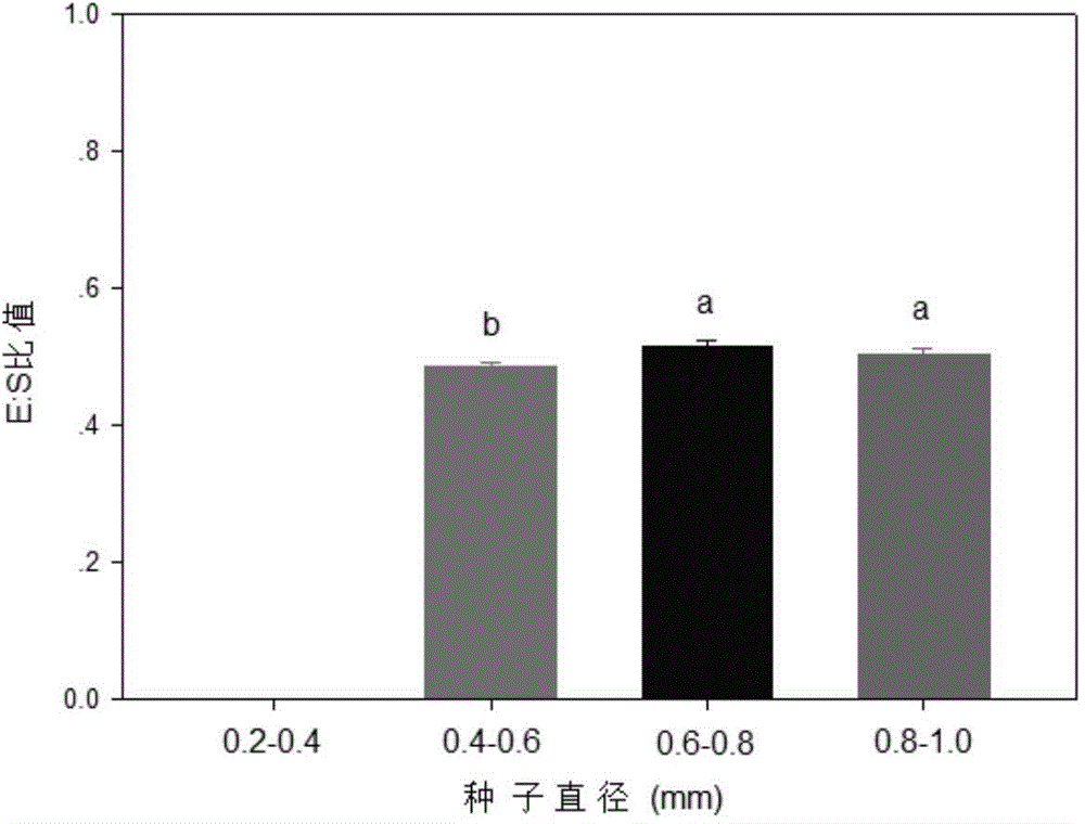 A method for screening cistanche seeds