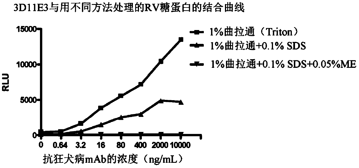 Compositions and methods related to prevention and treatment of rabies infection