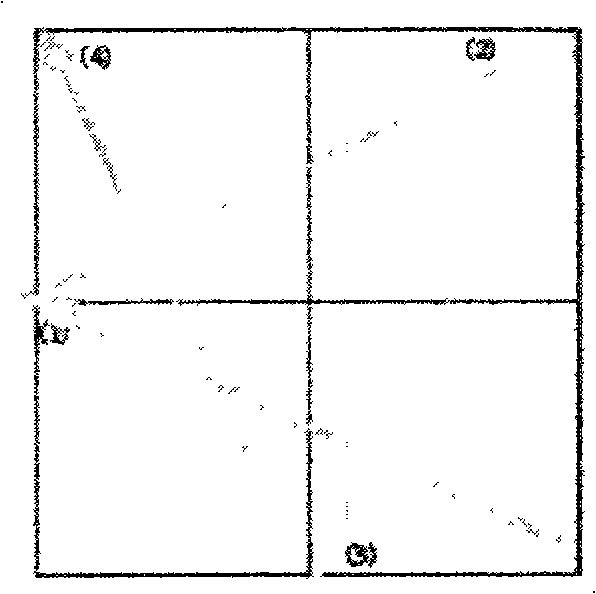 Computer anglicanum applying emulation image technology