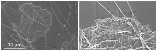 Preparation method of wearable transparent flexible film type strain sensor