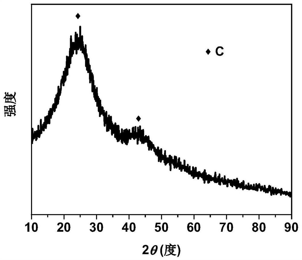 Monatomic catalyst and application thereof