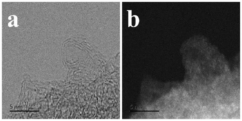 Monatomic catalyst and application thereof