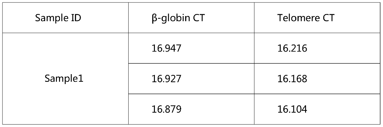 Telomere length detection kit and method and biological age evaluation method thereof