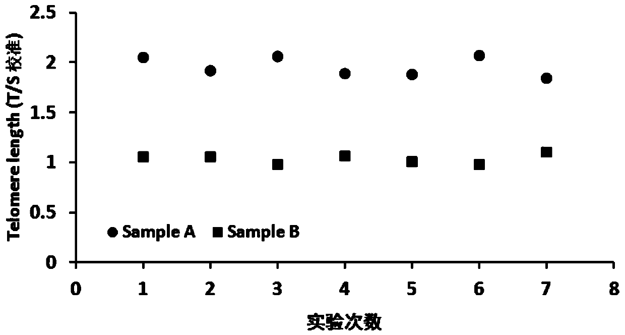 Telomere length detection kit and method and biological age evaluation method thereof