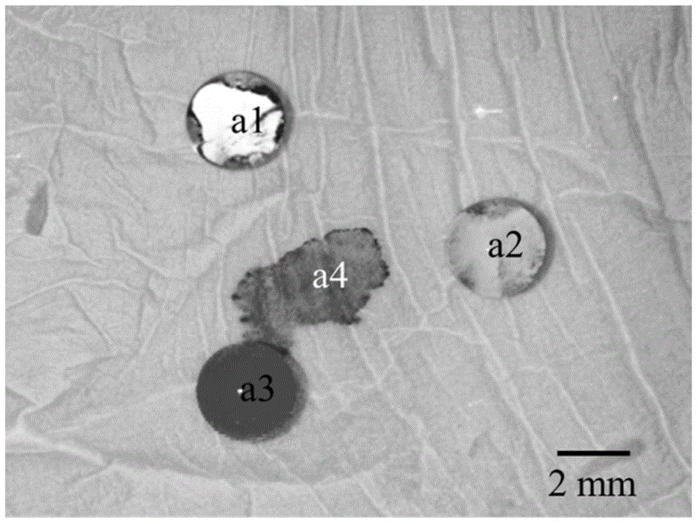 Preparation method and application of organic liquid separation net film based on wettability differences