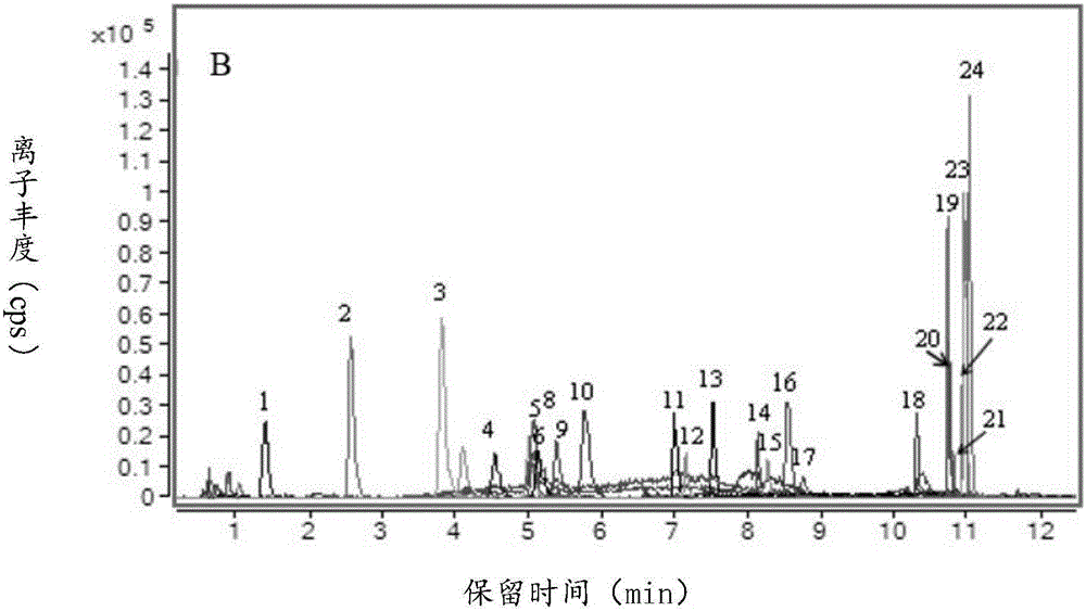 Qualitative method of phenolic compounds in tea seeds