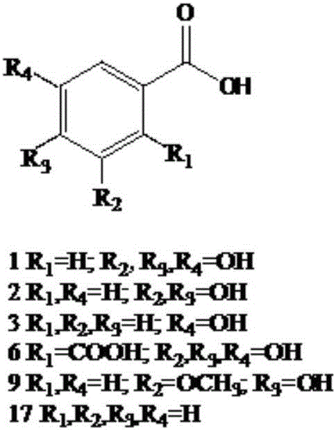 Qualitative method of phenolic compounds in tea seeds