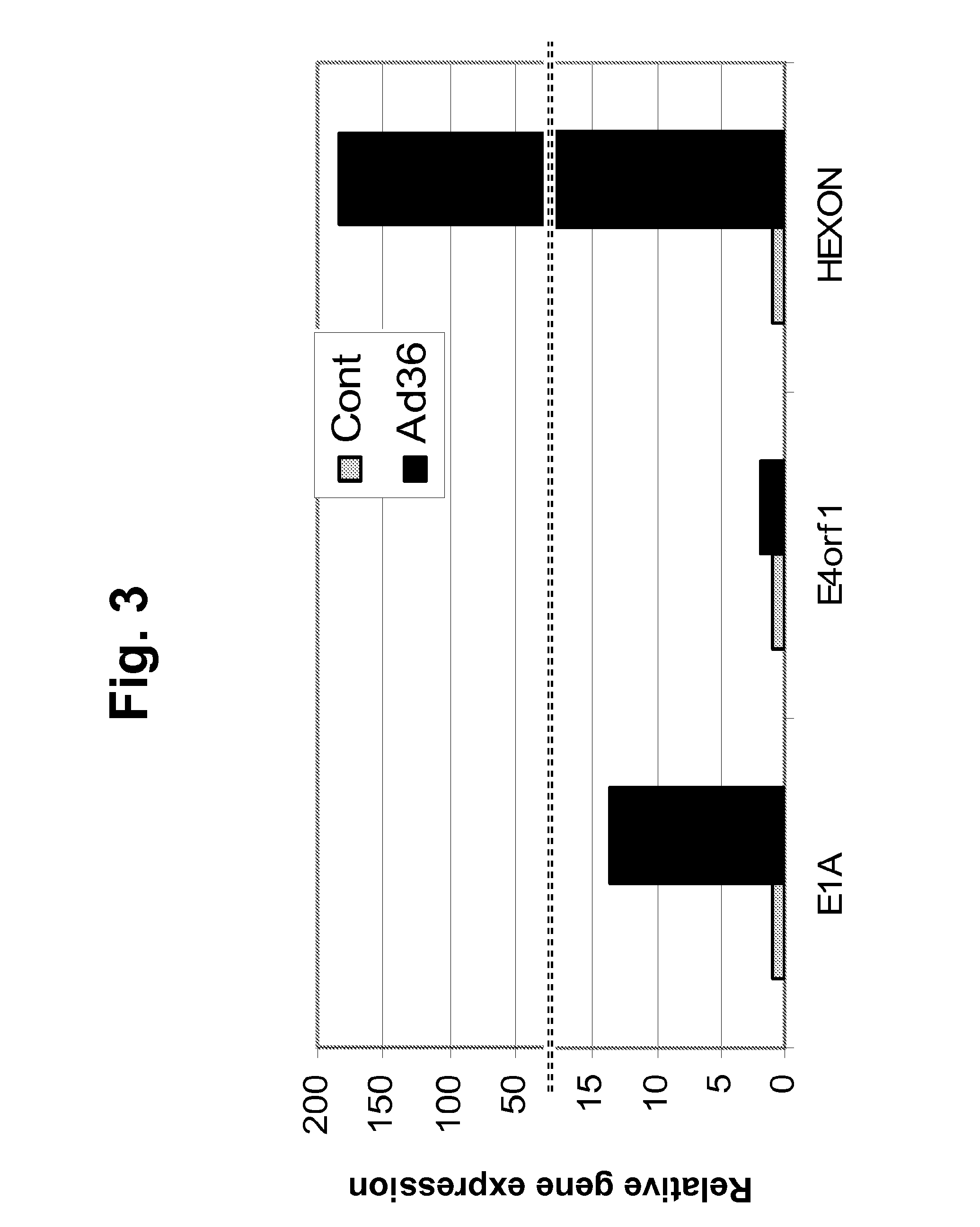 Compositions and methods for the treatment or prevention of human adenovirus-36 infection