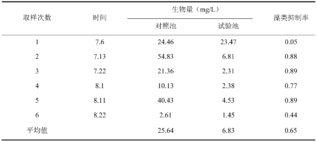 Water-saving and efficiency-enhancing methods for intensive turtle ponds to raise ornamental fish