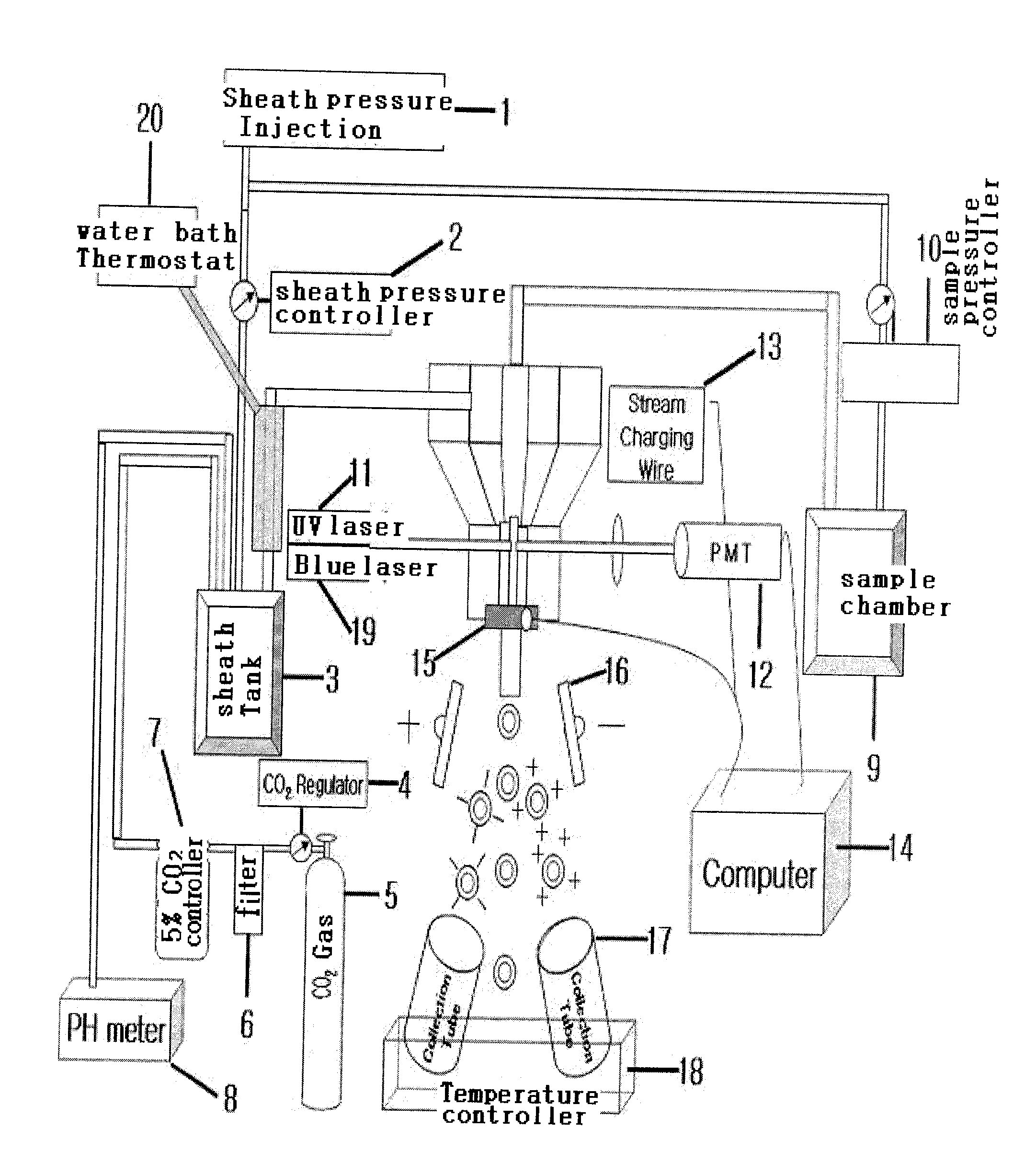 Parameter for x- and y- chromosome bearing sperm sorting with high degree of purity