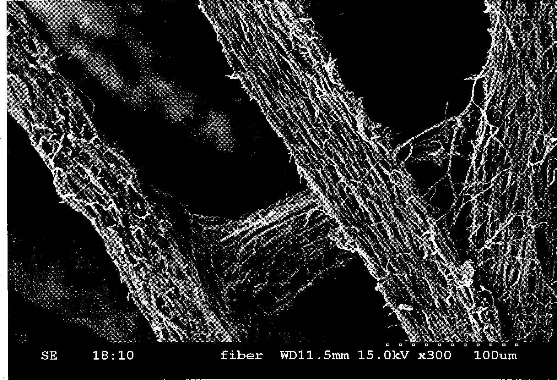 Three-dimensional large aperture tissue engineering scaffold based on nano-fibers and application thereof