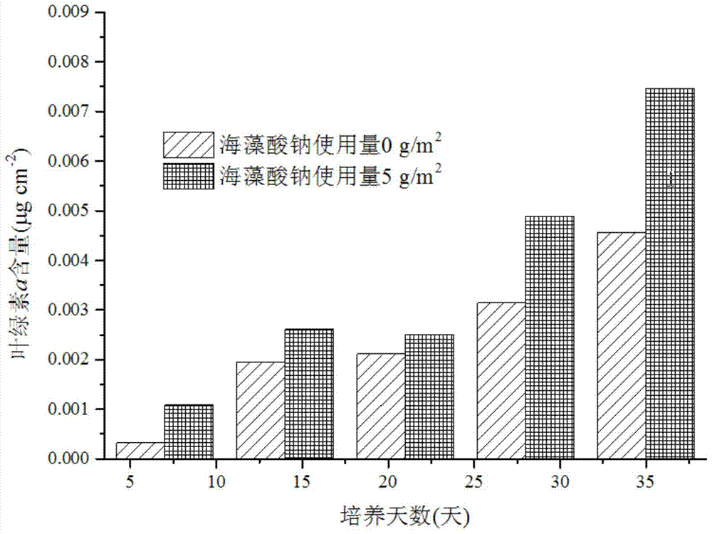 A kind of inoculation method of desert algae artificial biological crust and sand fixation