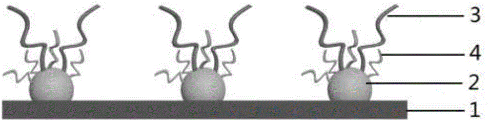 Aptamer sensor for detecting bisphenol A and preparation method of aptamer sensor