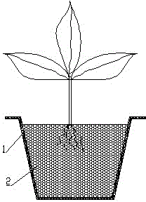 A compound nutrient sand planting structure