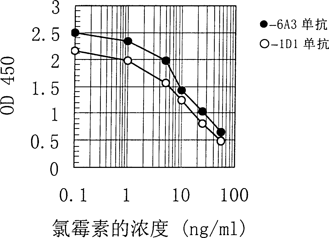 Mouse antichloromycetin monoclonal antibody and its use