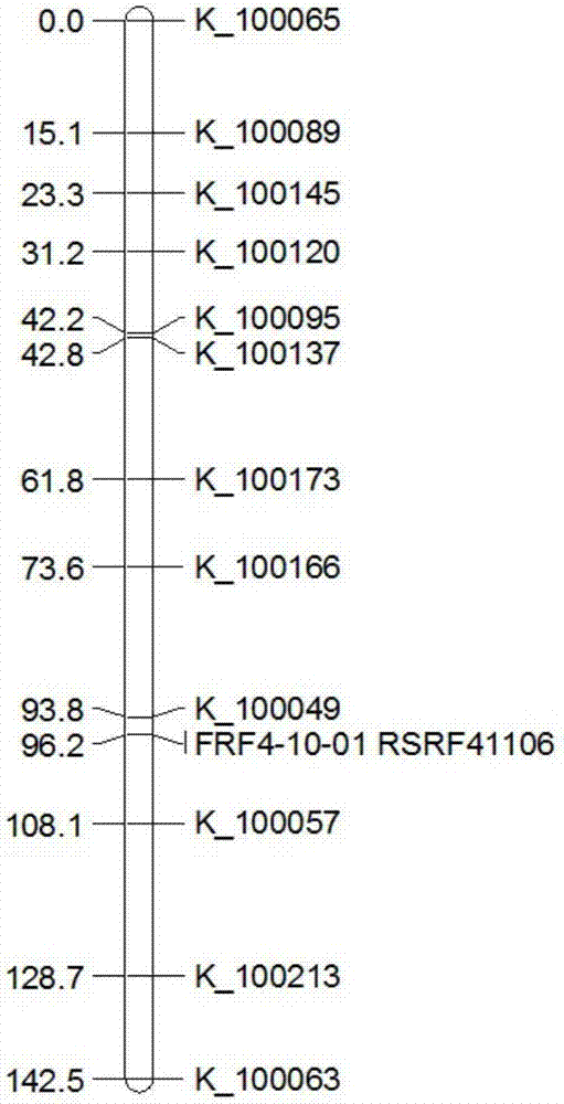 Rice fertility recovery gene auxiliary breeding molecular marker and application thereof