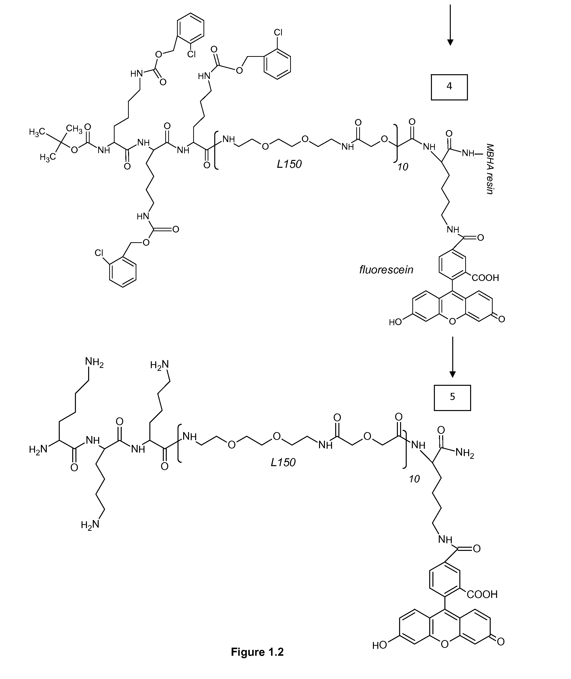 Methods and compounds for detection of molecular targets