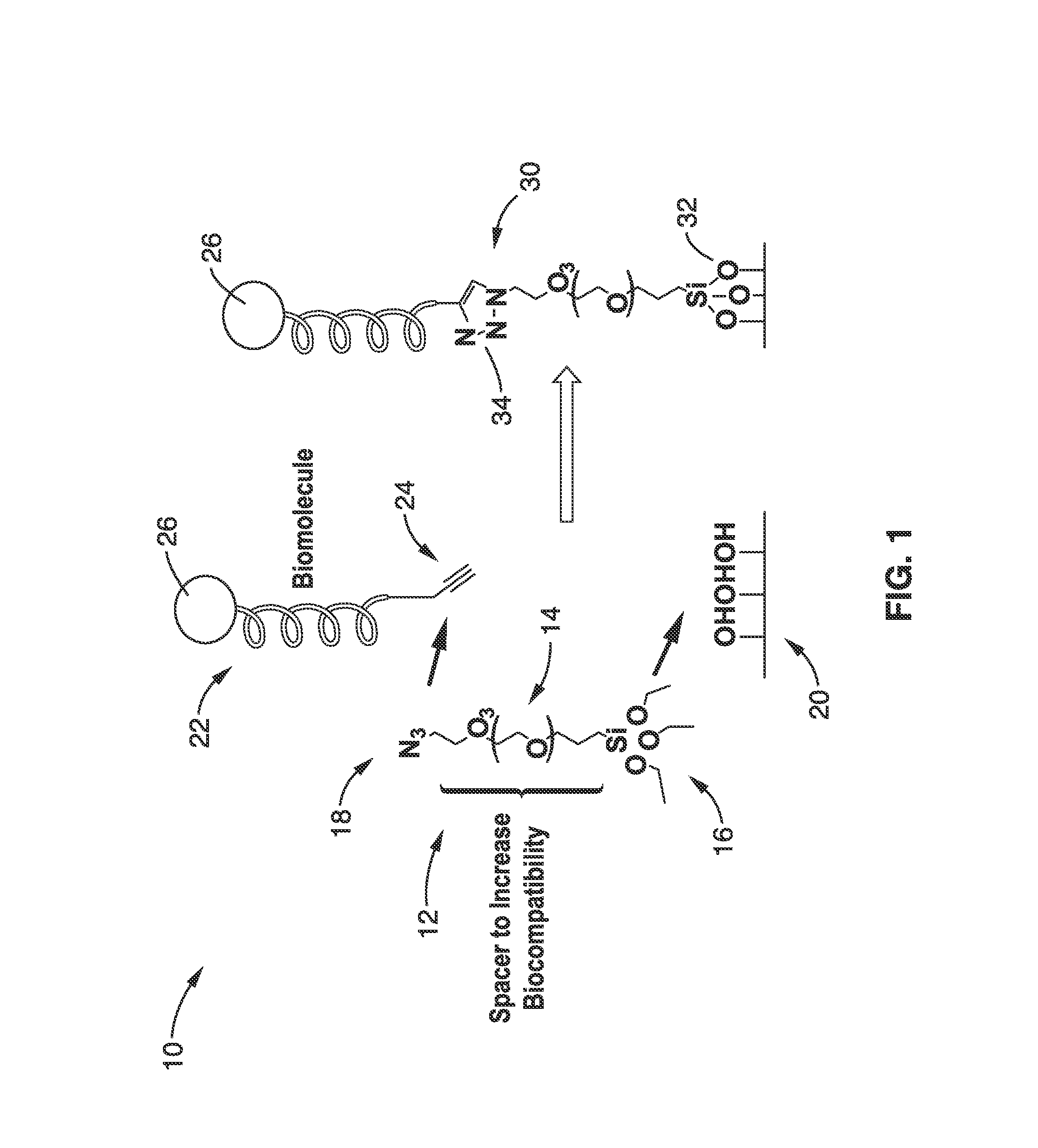 Bioconjugation using bifunctional linkers