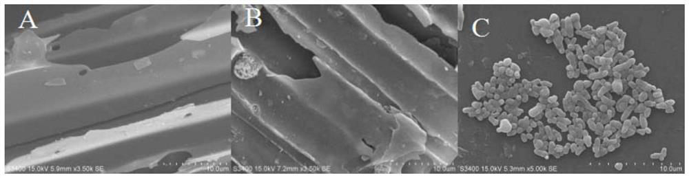 Biochar-based immobilized polycyclic aromatic hydrocarbons high-efficiency degradation bacterial agent and its preparation method and application