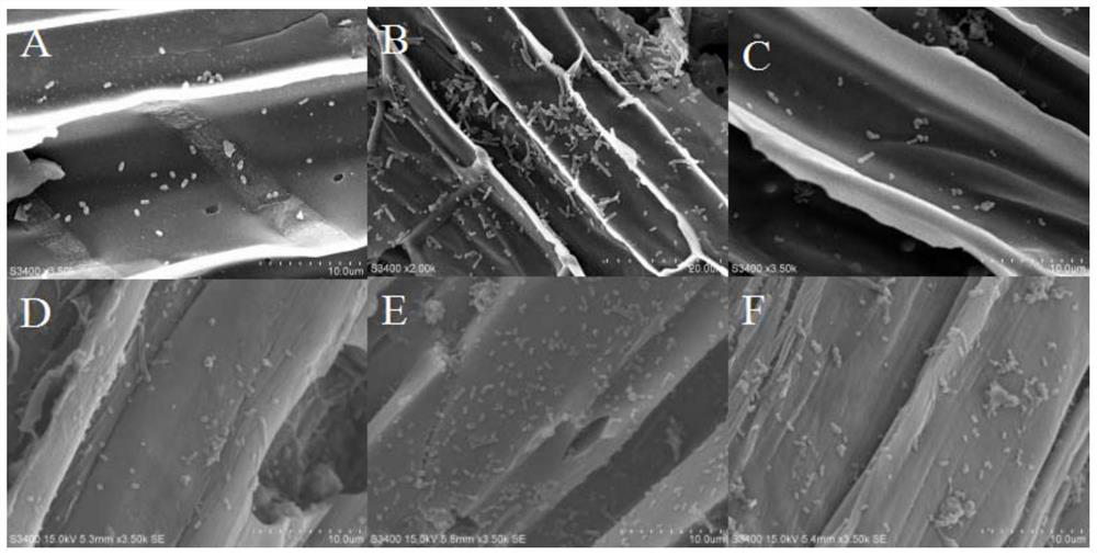 Biochar-based immobilized polycyclic aromatic hydrocarbons high-efficiency degradation bacterial agent and its preparation method and application