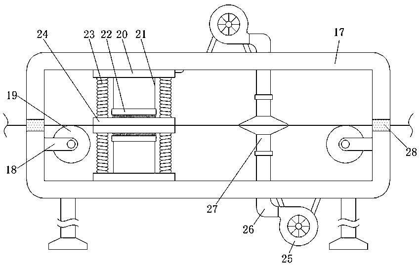 Dust removal device for printer